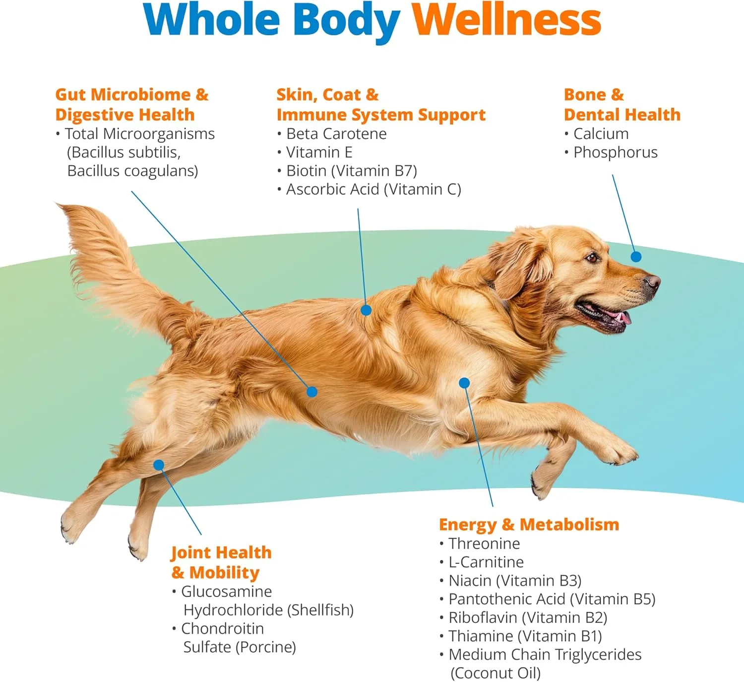 5Strands Dog Multivitamin Chews, 10-in-1, Vitamins & Postbiotics, All Ages & Breeds - Digestion, Brain, Organs, Heart, Mobility, Vision, Skin & Coat, Immune Health - Dog Supplement (Chicken, 90ct)
