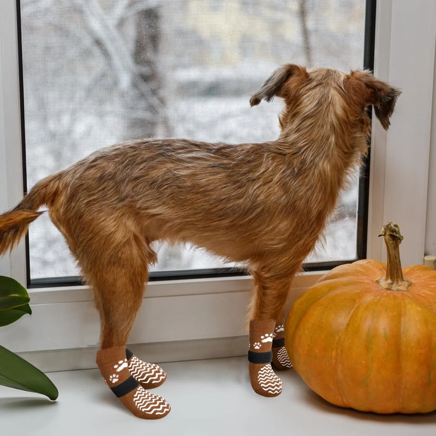 Anti Slip Dog Socks with Grippers for Hardwood Floors, Dog Shoes for Hot/Cold Pavement, Boots & Paws Protectors to Prevent Licking, Traction Booties for Senior Small Large Dogs
