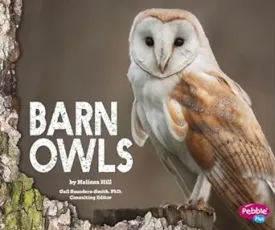 Barn Owls