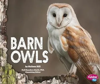 Barn Owls
