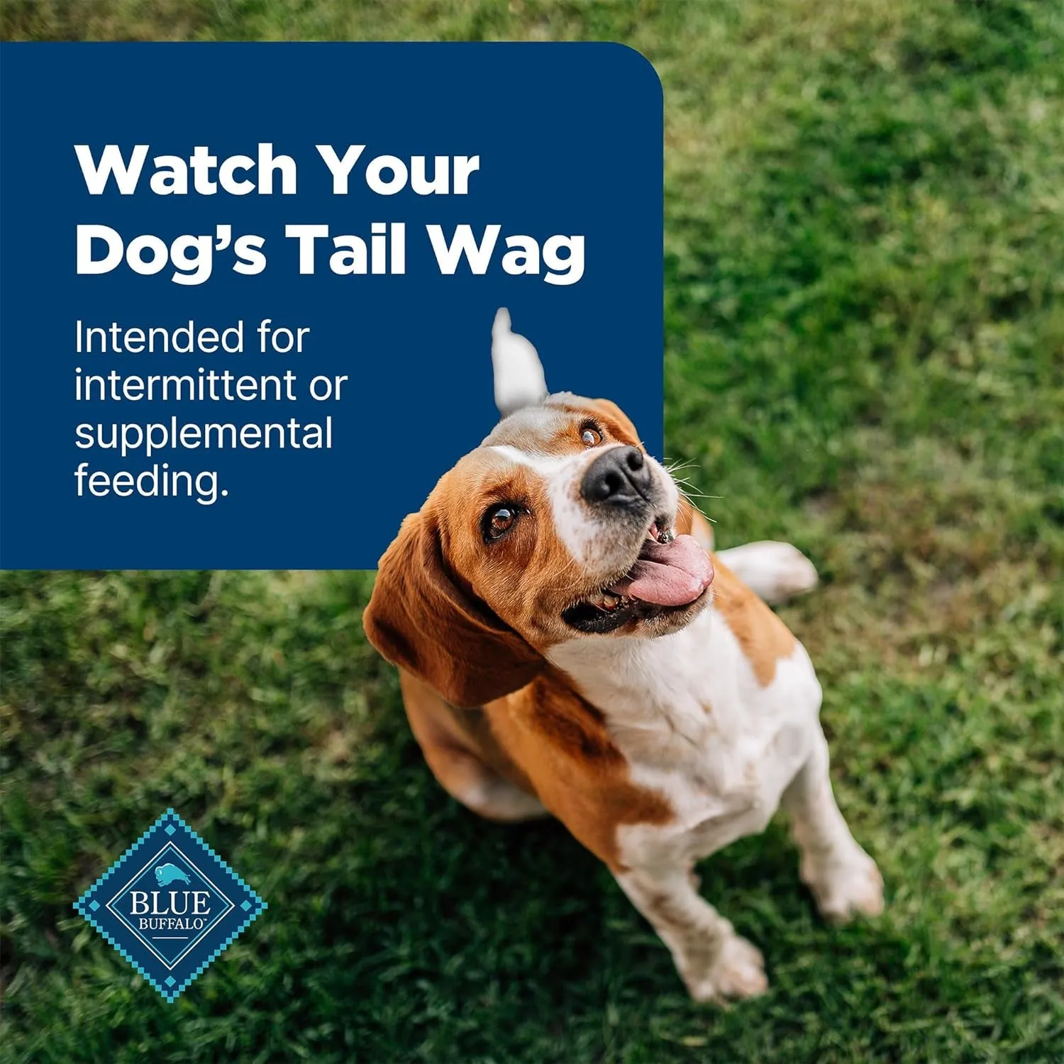 Blue Buffalo Nudges Jerky Bites Dog Treats, Made in the USA with Natural Ingredients, Bite-Sized Pieces, Chicken, 16-Oz Bag