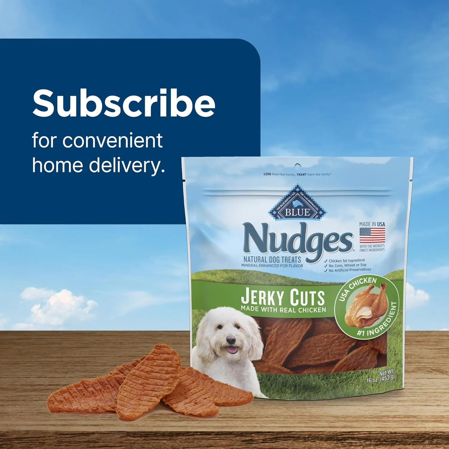 Blue Buffalo Nudges Jerky Bites Dog Treats, Made in the USA with Natural Ingredients, Bite-Sized Pieces, Chicken, 16-Oz Bag