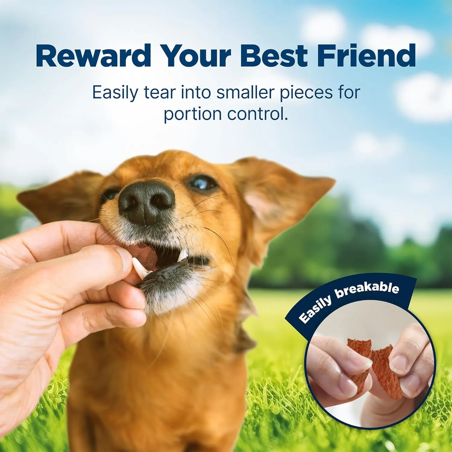 Blue Buffalo Nudges Jerky Bites Dog Treats, Made in the USA with Natural Ingredients, Bite-Sized Pieces, Chicken, 16-Oz Bag