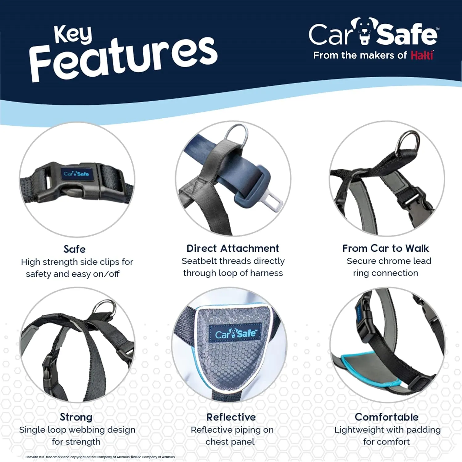 CarSafe Dog Travel Harness - Safely Secure Dog in car, ensures Road Laws and Insurance Terms When Travelling with Your pet. for Toy, Small, Medium and Large Dogs (Size Large)