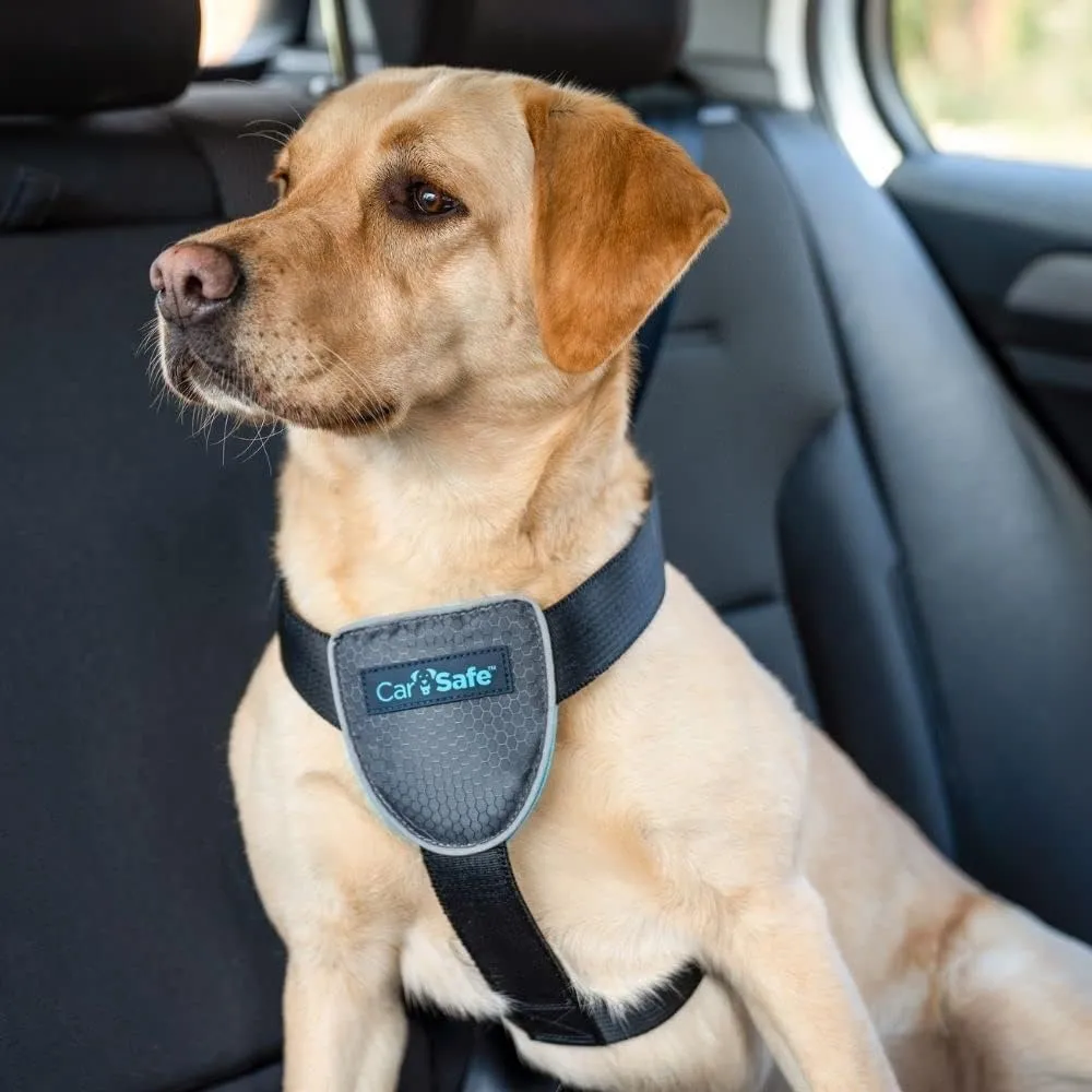 CarSafe Dog Travel Harness - Safely Secure Dog in car, ensures Road Laws and Insurance Terms When Travelling with Your pet. for Toy, Small, Medium and Large Dogs (Size Large)