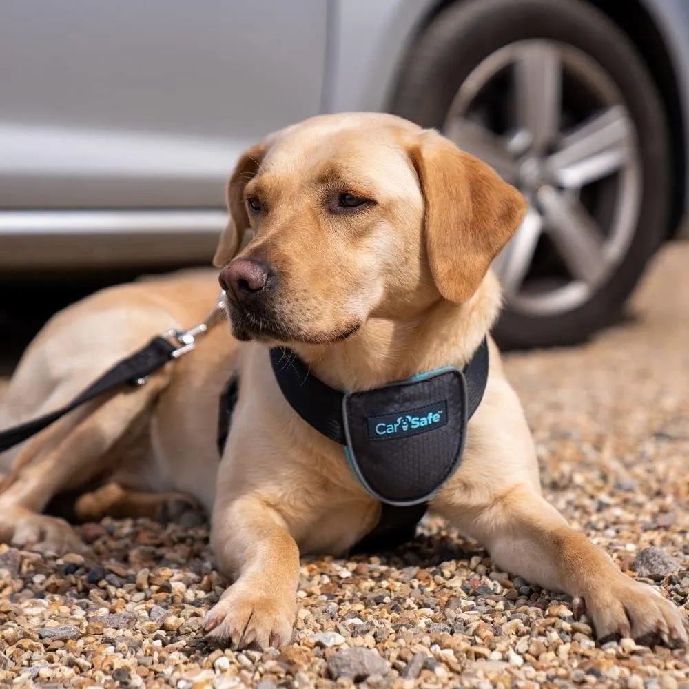 CarSafe Dog Travel Harness - Safely Secure Dog in car, ensures Road Laws and Insurance Terms When Travelling with Your pet. for Toy, Small, Medium and Large Dogs (Size Large)