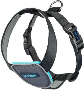 CarSafe Dog Travel Harness - Safely Secure Dog in car, ensures Road Laws and Insurance Terms When Travelling with Your pet. for Toy, Small, Medium and Large Dogs (Size Large)