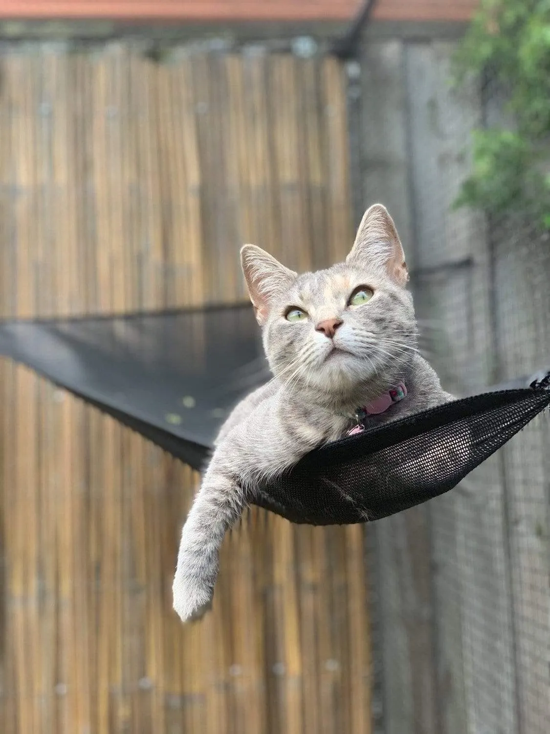 Cat Hammock to suit Premium Portable Catio 5’10” or 11'8"