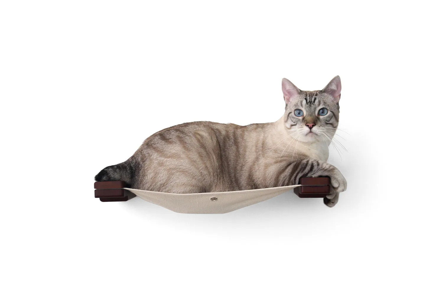 Cat Wall Hammock - Hanging Cat Beds