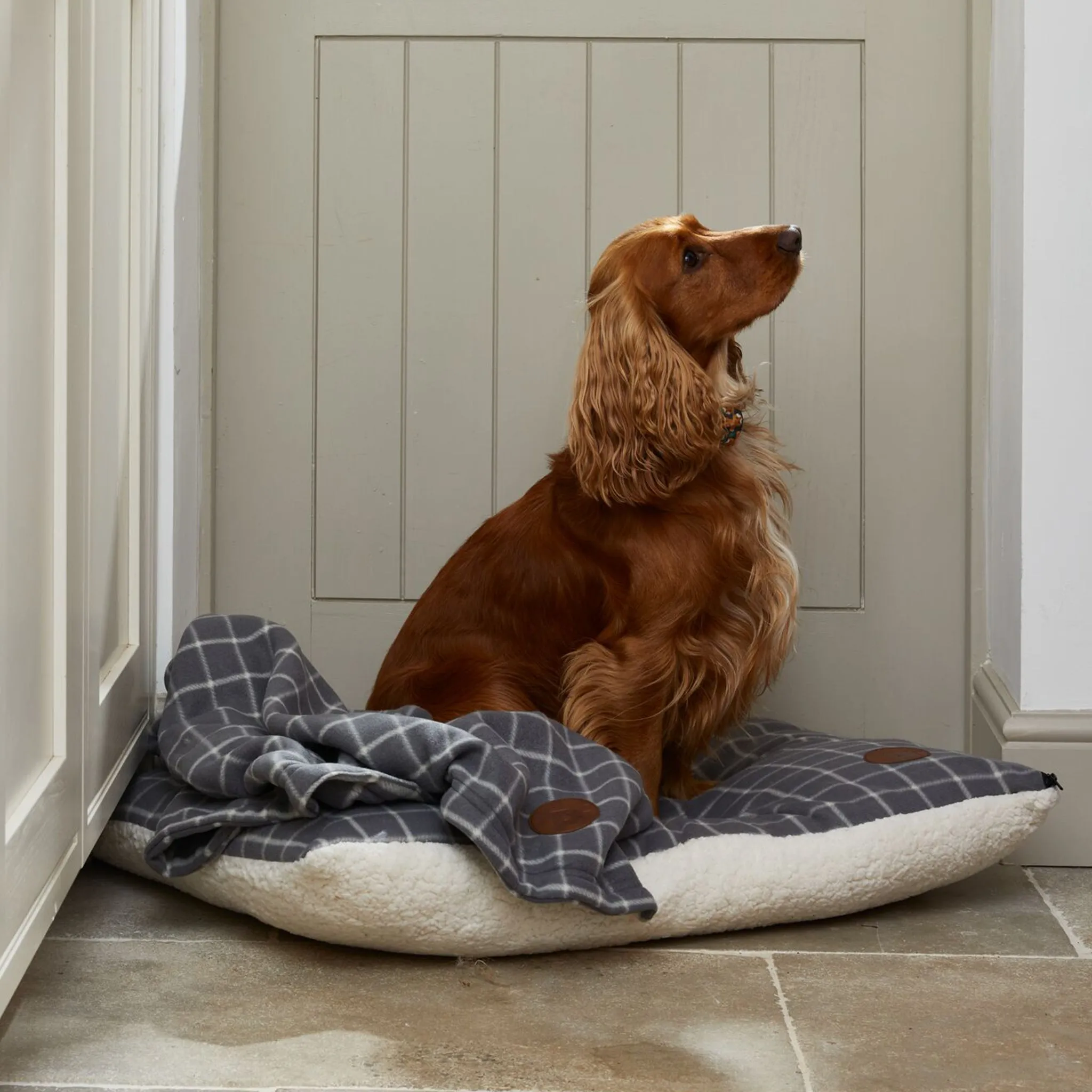 Checked Pet Blanket
