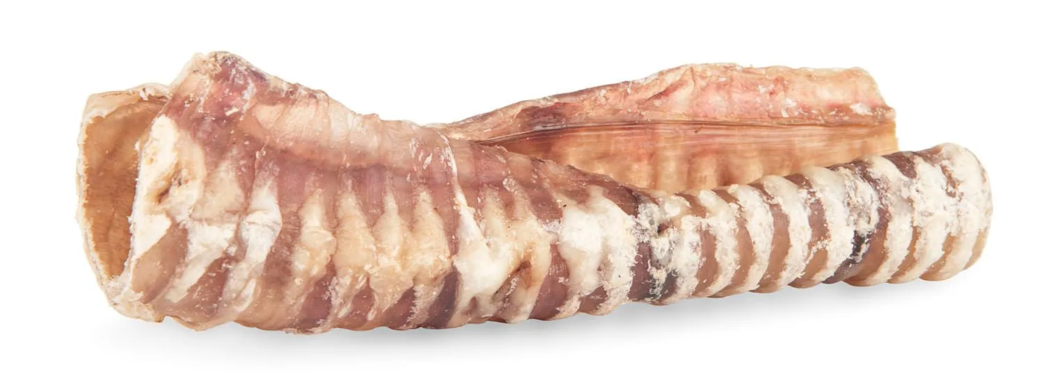 ChewMax 6" Beef Trachea Tubes