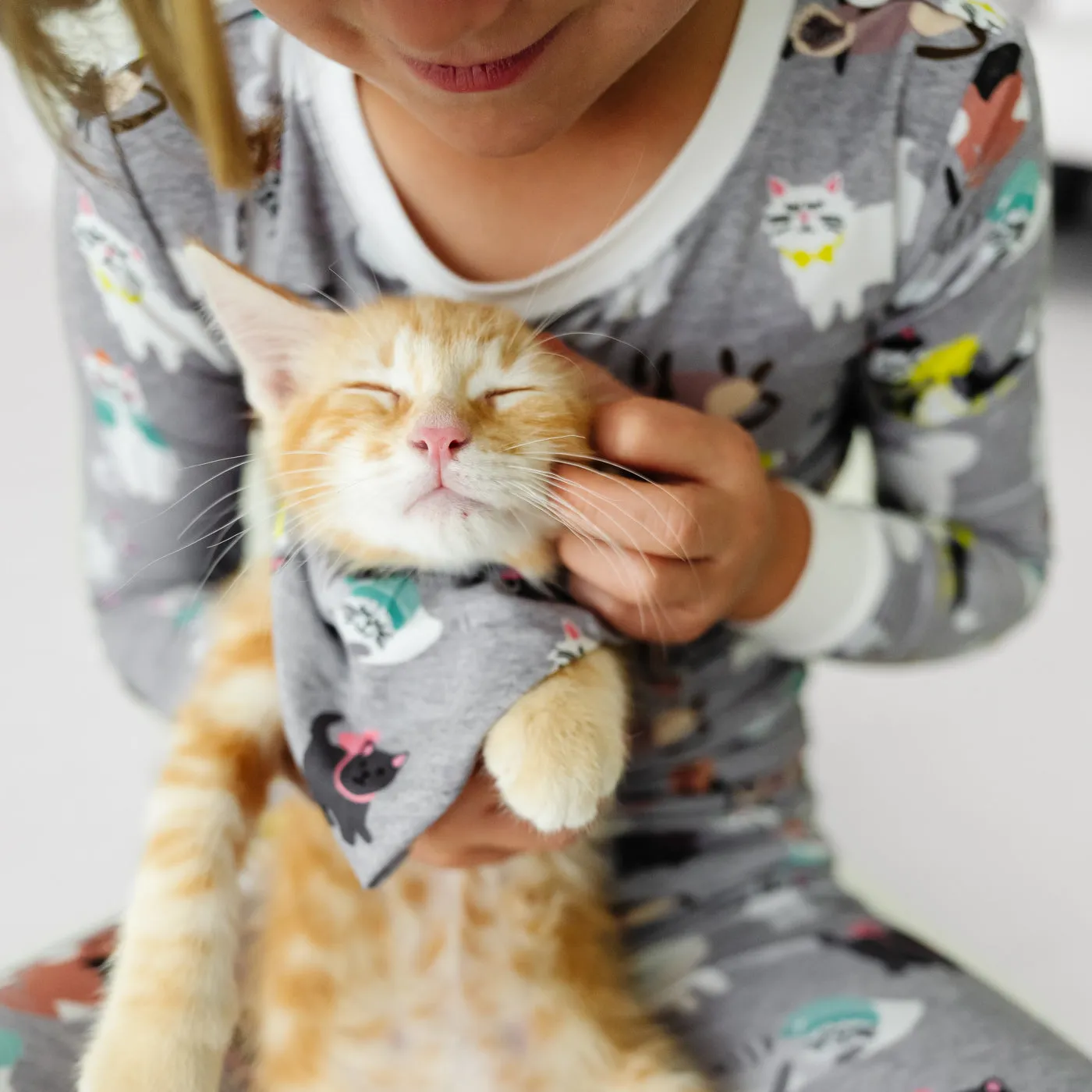 Cozy Cats Pet Bandana
