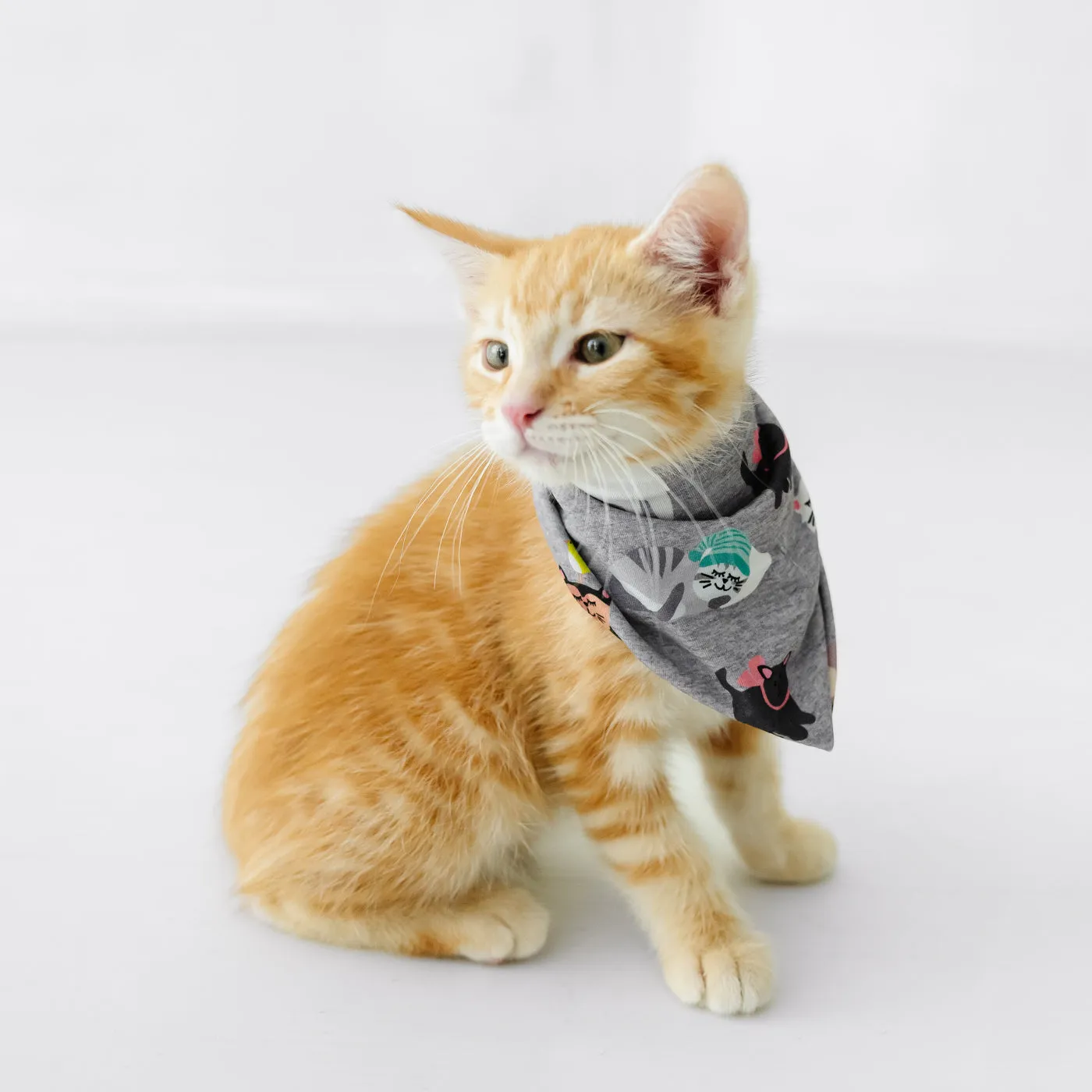 Cozy Cats Pet Bandana