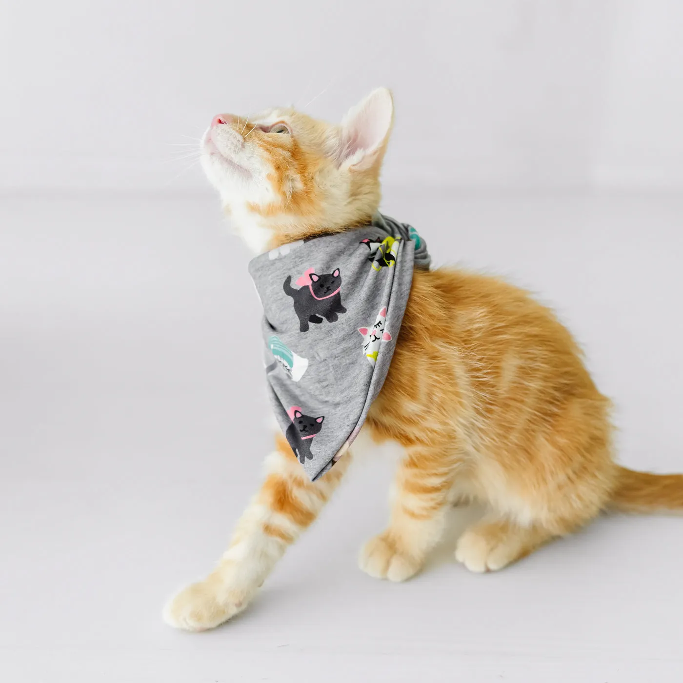 Cozy Cats Pet Bandana