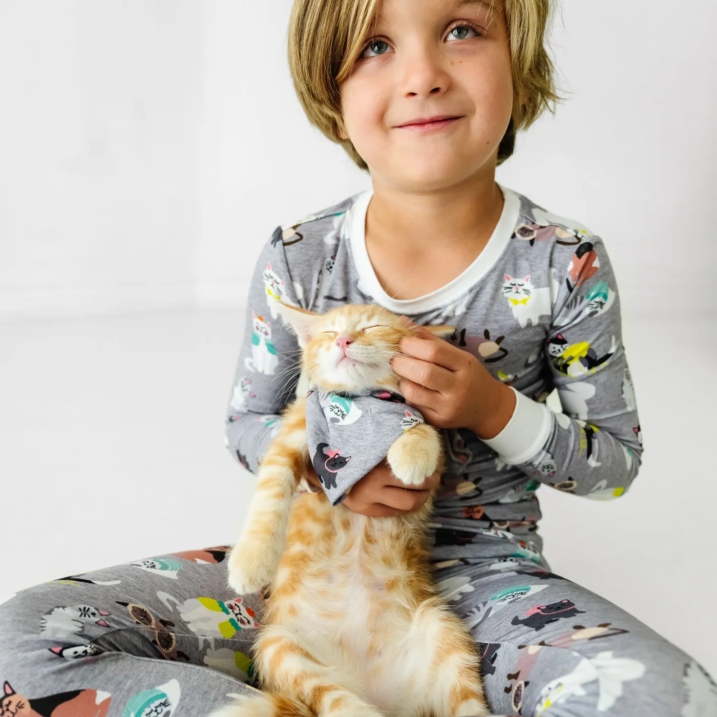 Cozy Cats Pet Bandana