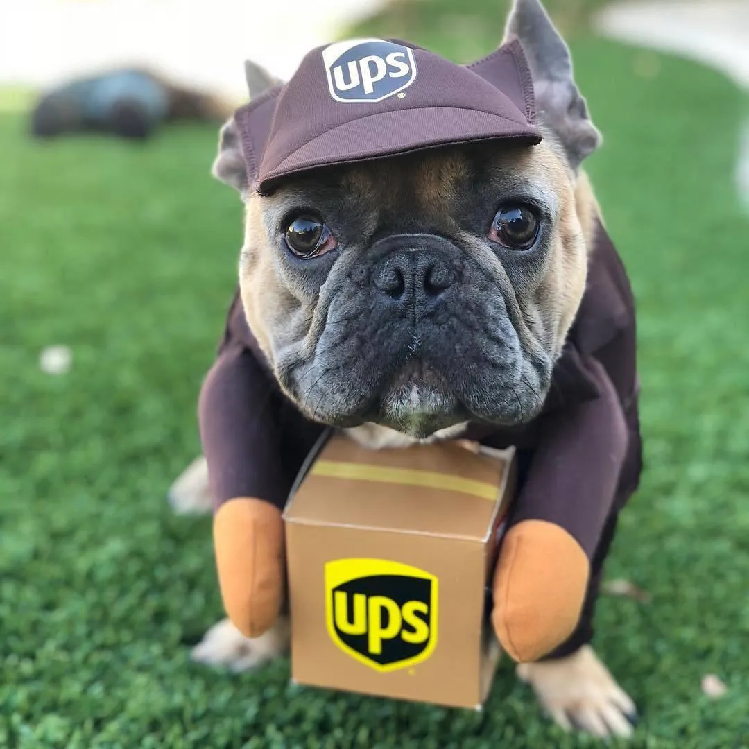 Cozy Critter Pet Apparel