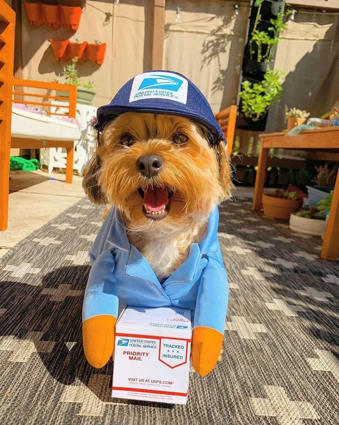 Cozy Critter Pet Apparel