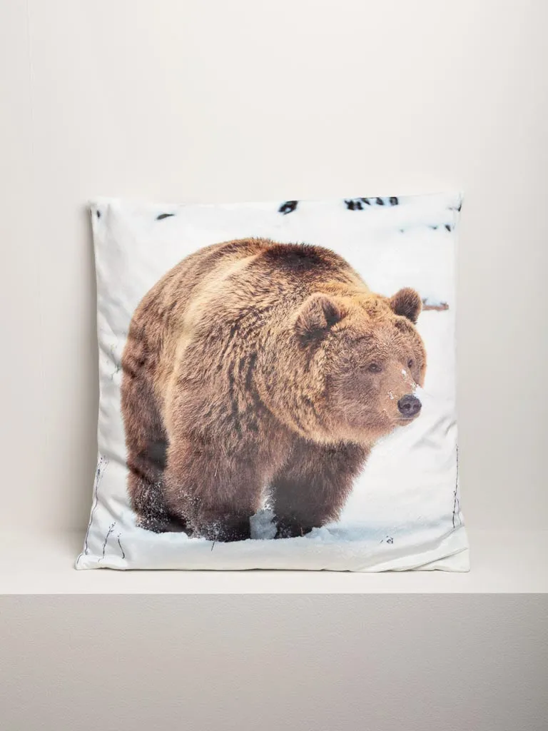 Cushion bear in snowy landscape