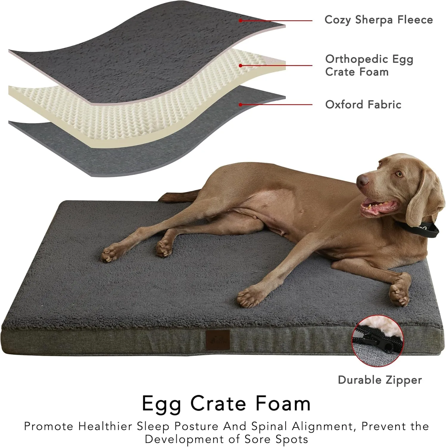 DaysU Dog Bed for Small Dogs, Orthopedic Dog Beds with Removable Washable Cover, Small Egg Crate Foam Pet Bed Mat, Dark Grey, Suitable for Dogs Up to 20 lbs, 30x20x3in