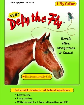 DEFY THE FLY 