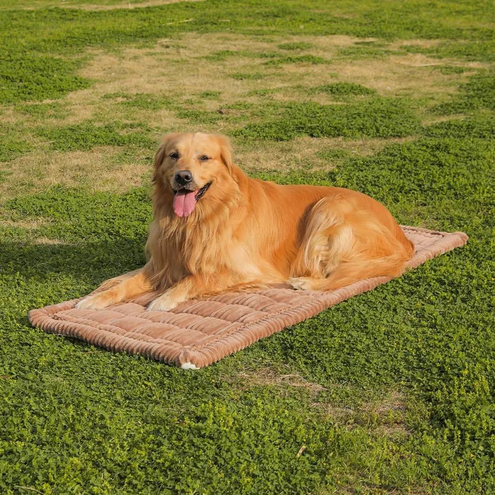 Dog Car Seat Cover for Back Seat, Dog Bed for Car, Fit for Backseat Extenders, Car Seat Protector, Nonslip Soft Durable for Cars Trucks and SUVs (Coffee, 24.8" x 54")
