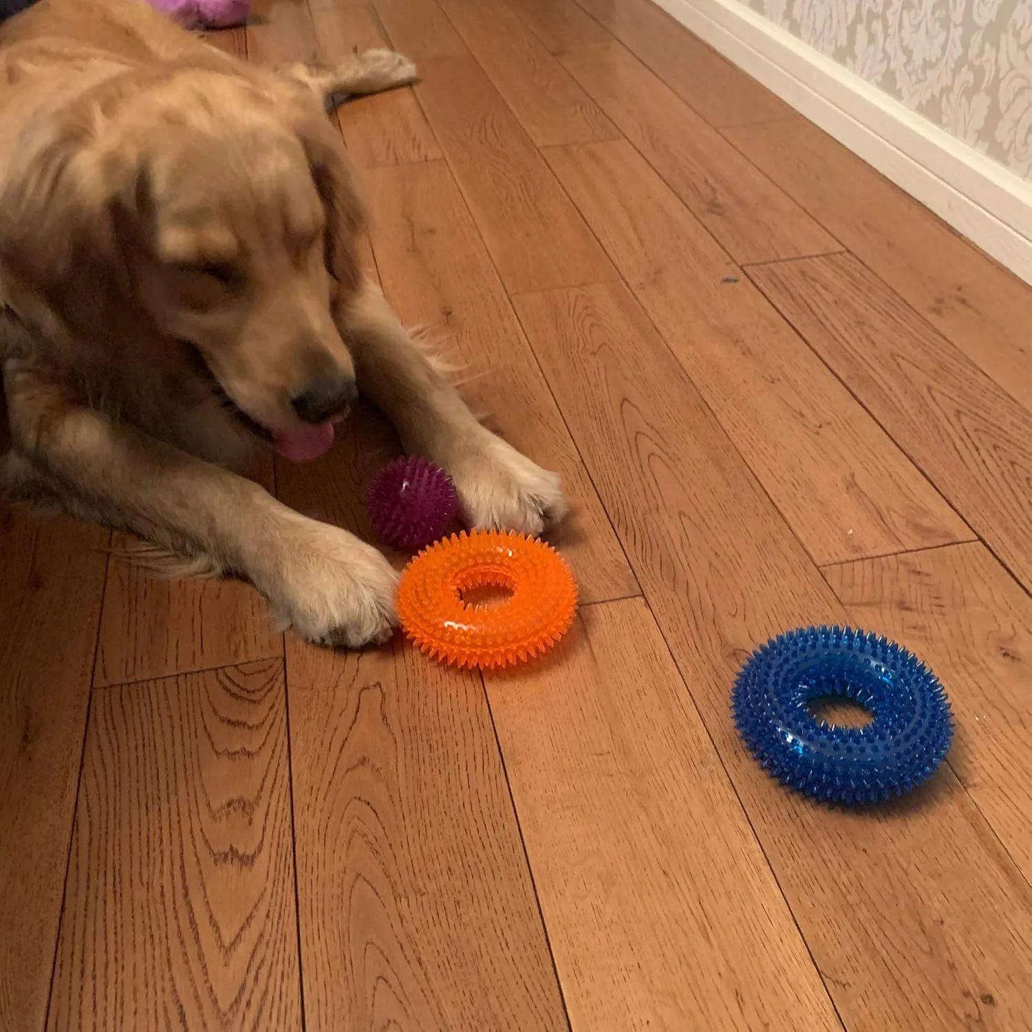 Dog Squeaky Toys Value Set Non-Toxic Dog Squeaky Balls for Dogs Toss Fetch Toys for Dogs TPR Rubber Puppy Toys Spikey Dog Chew Toys for Small Medium Dogs Pet Toys for Puppy (6 Pack Spiky Balls)