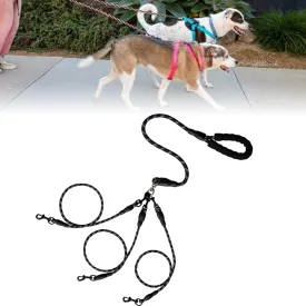 Double Bungee Leash - 1st Step Training Tool, Double Bungee Dog Leash, 360 Swivel No Tangle Walking & Training Leashes, Shock Absorbing Reflective for Small Medium Large Dogs (Black, Triple Leash)