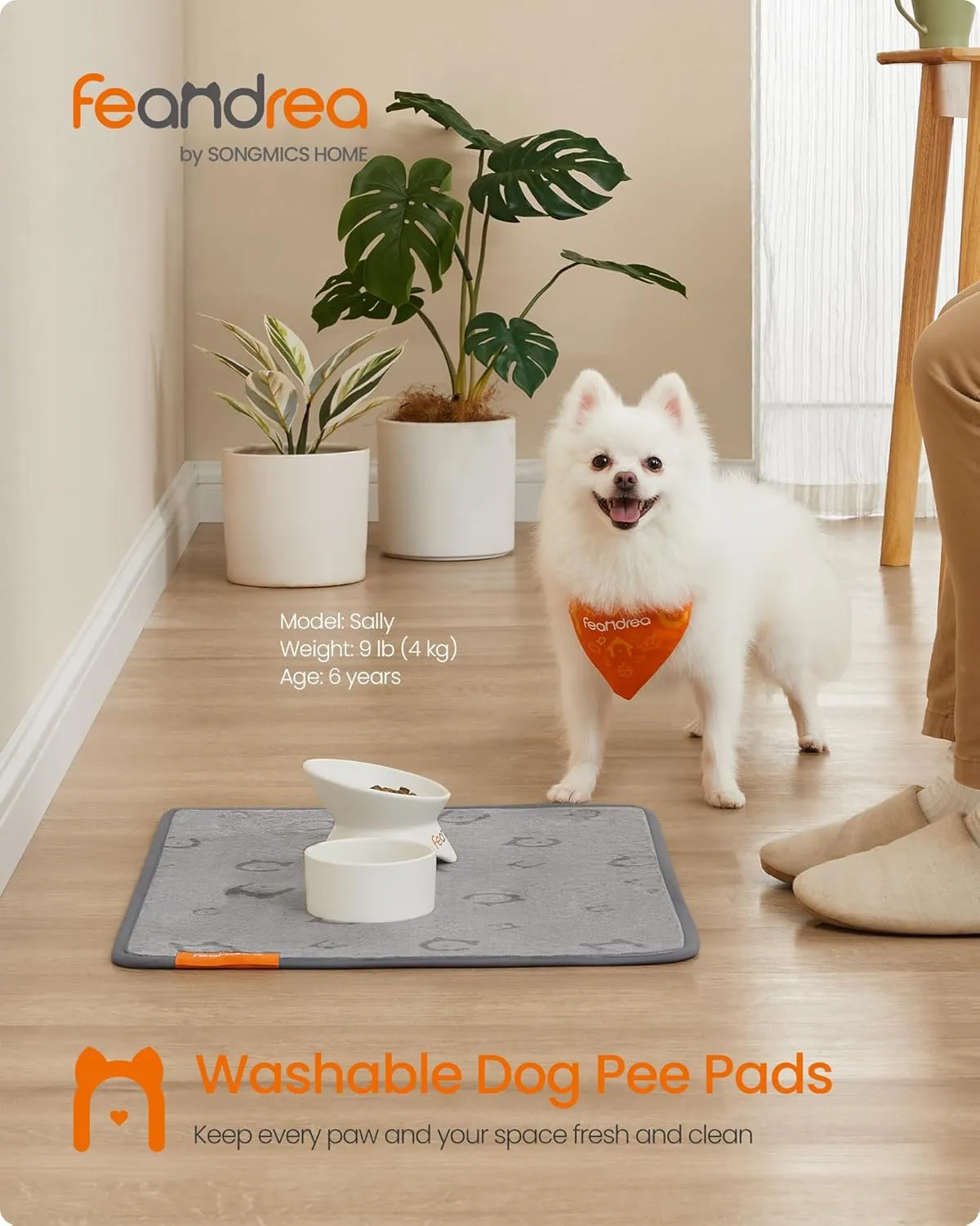 Feandrea Washable Pee Pads for Dogs, 2 Pack, Reusable Dog Pads, 24 x 18 Inches, S, Waterproof Pet Training Pads, Leakproof, Non-Slip, Super Absorbent, for Dogs, Cats, Rabbits, Dove Gray UPTD001G01