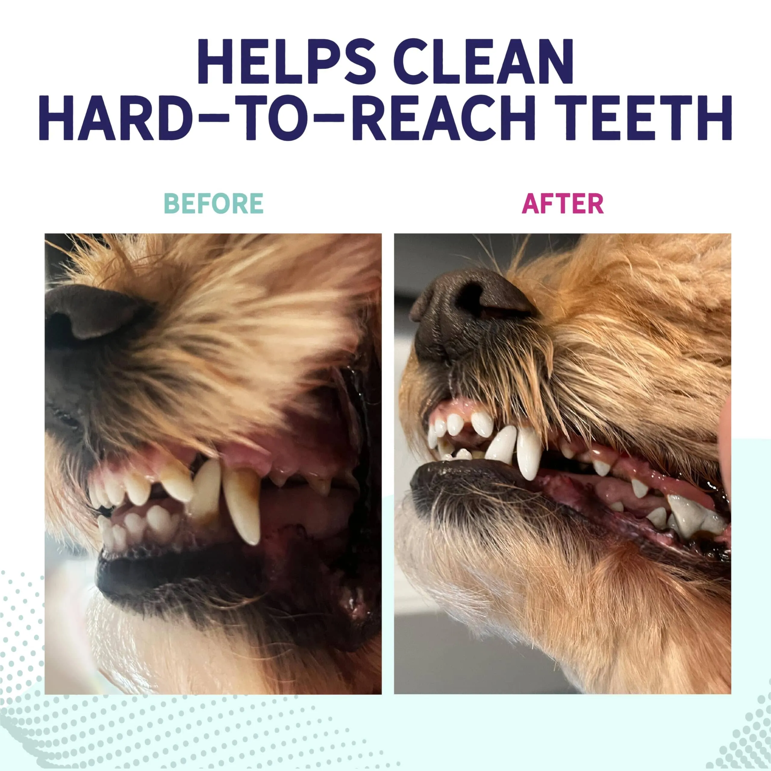 Health Extension Probiotic Bone-Shaped Dental Dog Chews - Large - 3 Pack