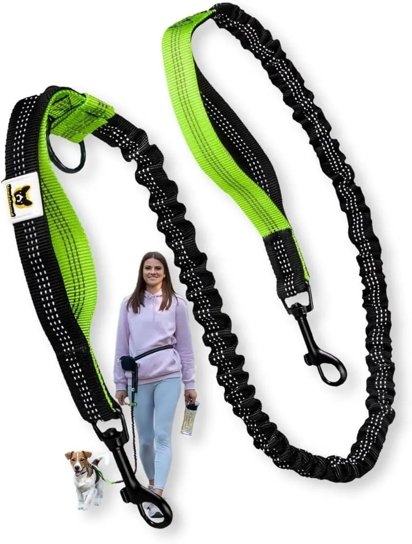 Hundefreund Bungee Dog Leash Replacement & Extension (4363) for Small Dogs - Shock-Absorbing Leash Part with Dual Handles & Reflective Stitching (Green)