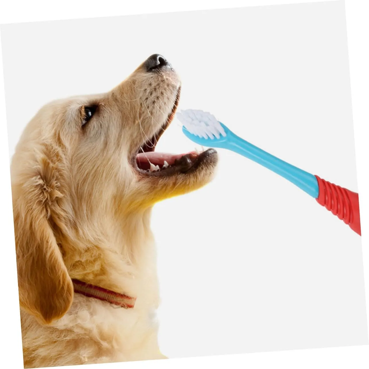 Kisangel 4pcs Dual-Head Pet Toothbrush Ergonomic Dog Tooth Cleaner for Puppies and Cats for Various Mouth Shapes Comprehensive Oral Care for Pets
