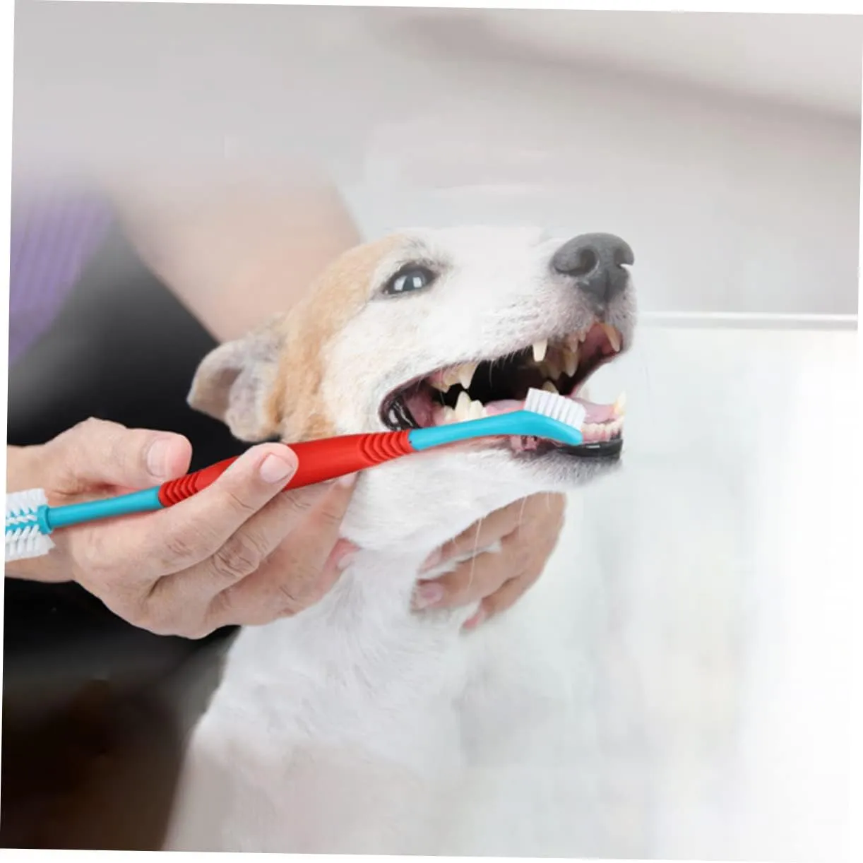 Kisangel 4pcs Dual-Head Pet Toothbrush Ergonomic Dog Tooth Cleaner for Puppies and Cats for Various Mouth Shapes Comprehensive Oral Care for Pets