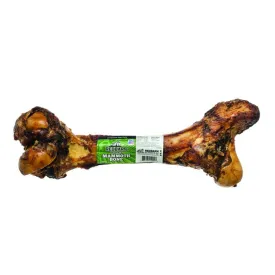Mammoth Bone