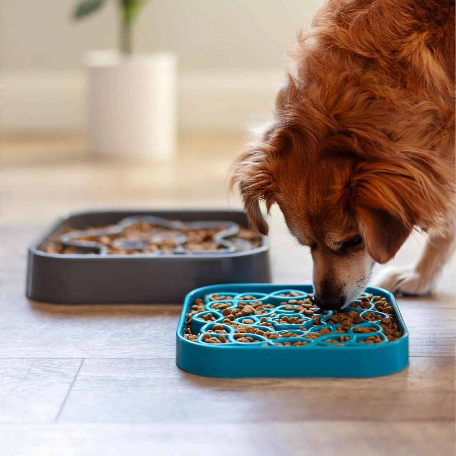 Messy Mutts and Cats Interactive Square Slow Feeder | Cool Grey (2 Cup) | 8 x 8 Square Puzzle Slow Feeder for Dogs/Cats | Enrichment Food Dish for Slow Eating, Bloating