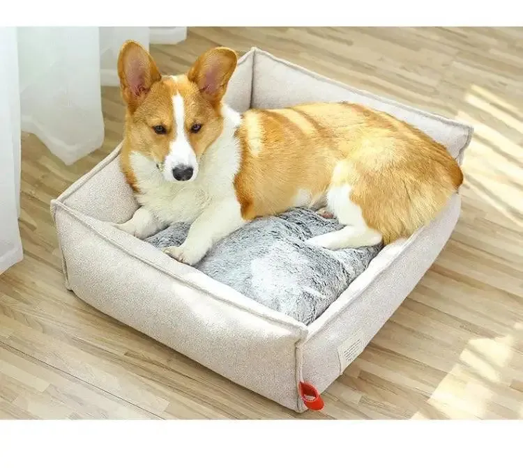 Modern Dog Beds – Elevate Their Sleep, Elevate Their Life