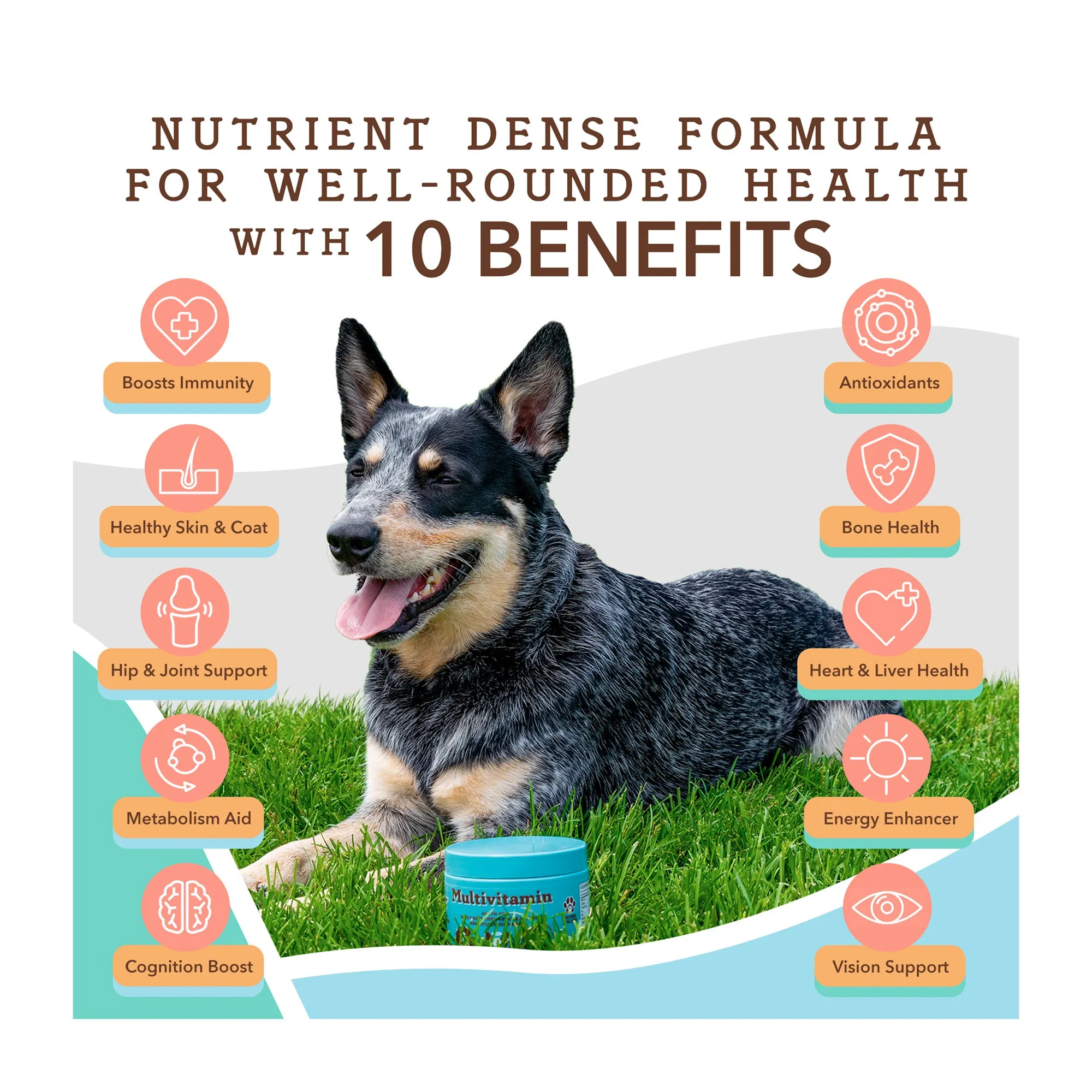 Multivitamin for Dogs, Soft Chews