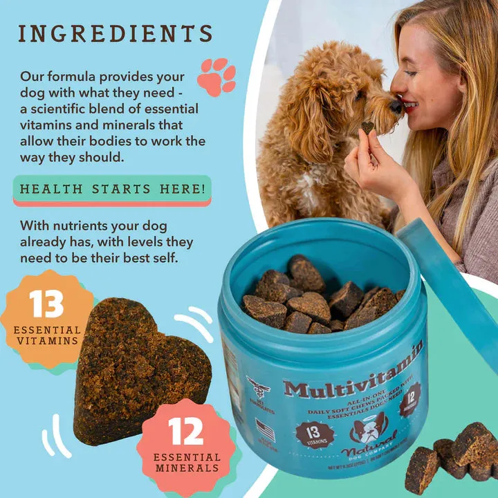 Multivitamin Supplement - 90 Chews