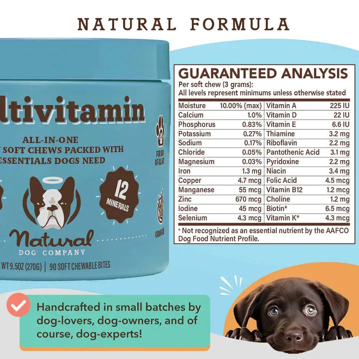 Multivitamin Supplement - 90 Chews
