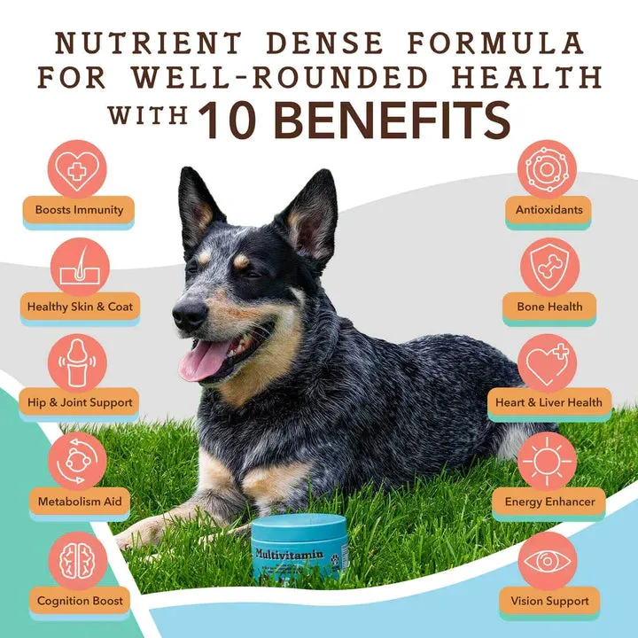 Multivitamin Supplement - 90 Chews