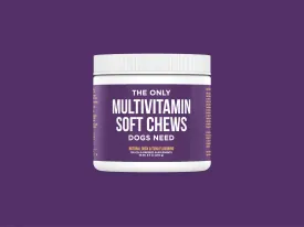 Natural Rapport The Only Multivitamin Soft Chew Dog Supplement