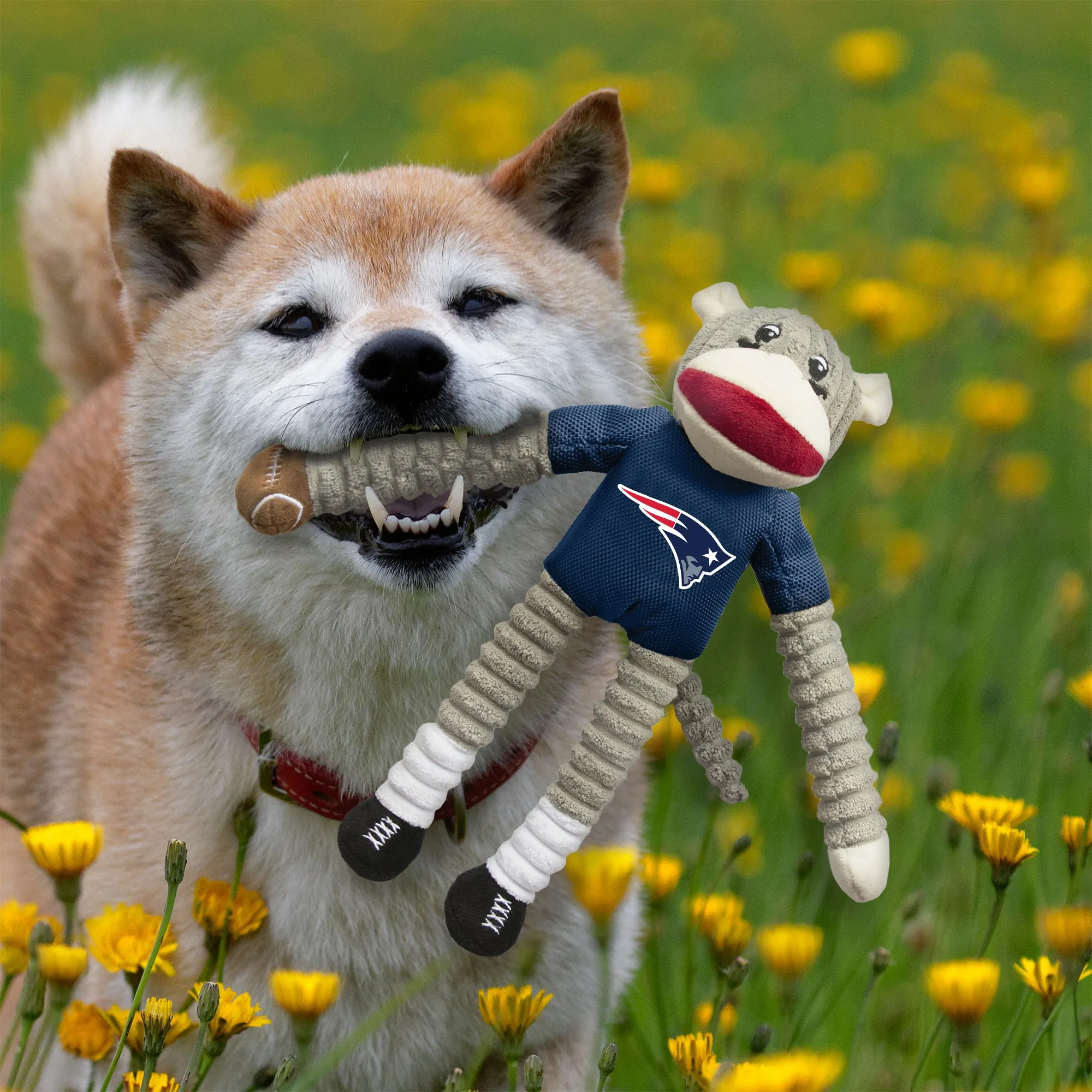 New England Patriots Team Sock Monkey Pet Toy
