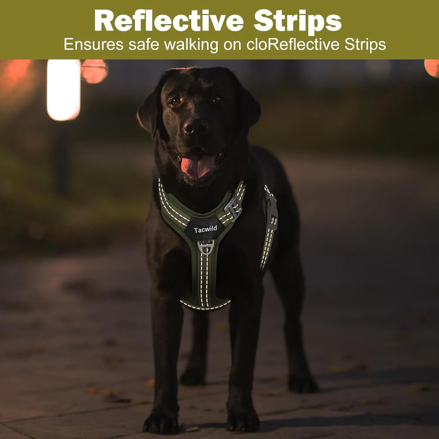No Pull Dog Harness - Adjustable Reflective Dog Vest with Metal Snap, Soft Breathable Mesh No Choke Puppy Harness, Easy to Put on & Take Off (Green-XL)