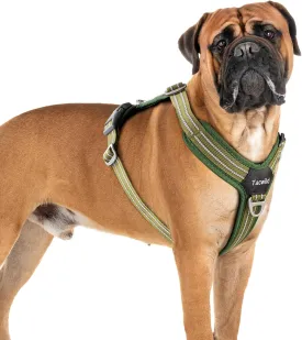No Pull Dog Harness - Adjustable Reflective Dog Vest with Metal Snap, Soft Breathable Mesh No Choke Puppy Harness, Easy to Put on & Take Off (Green-XL)