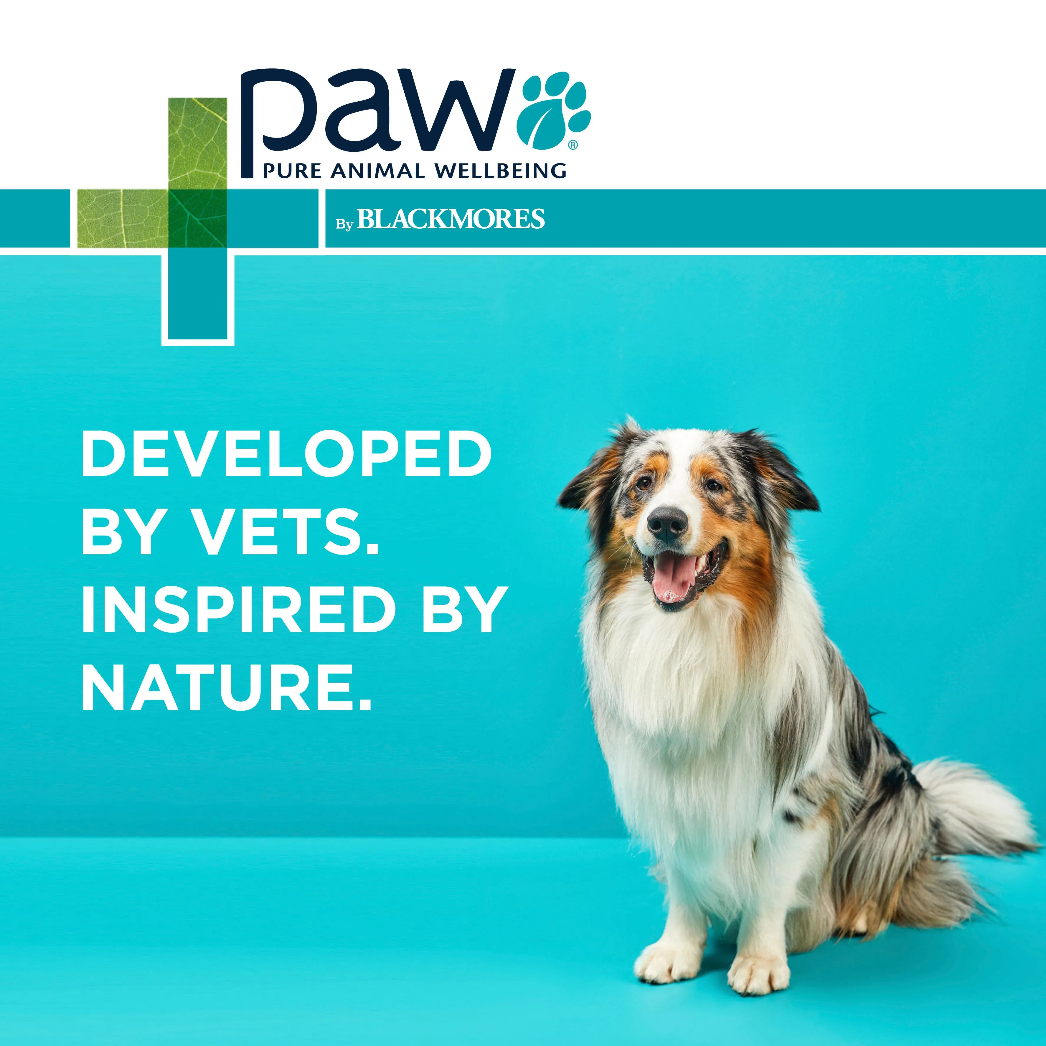 PAW Wellness & Vitality Multivitamin Chews 300g