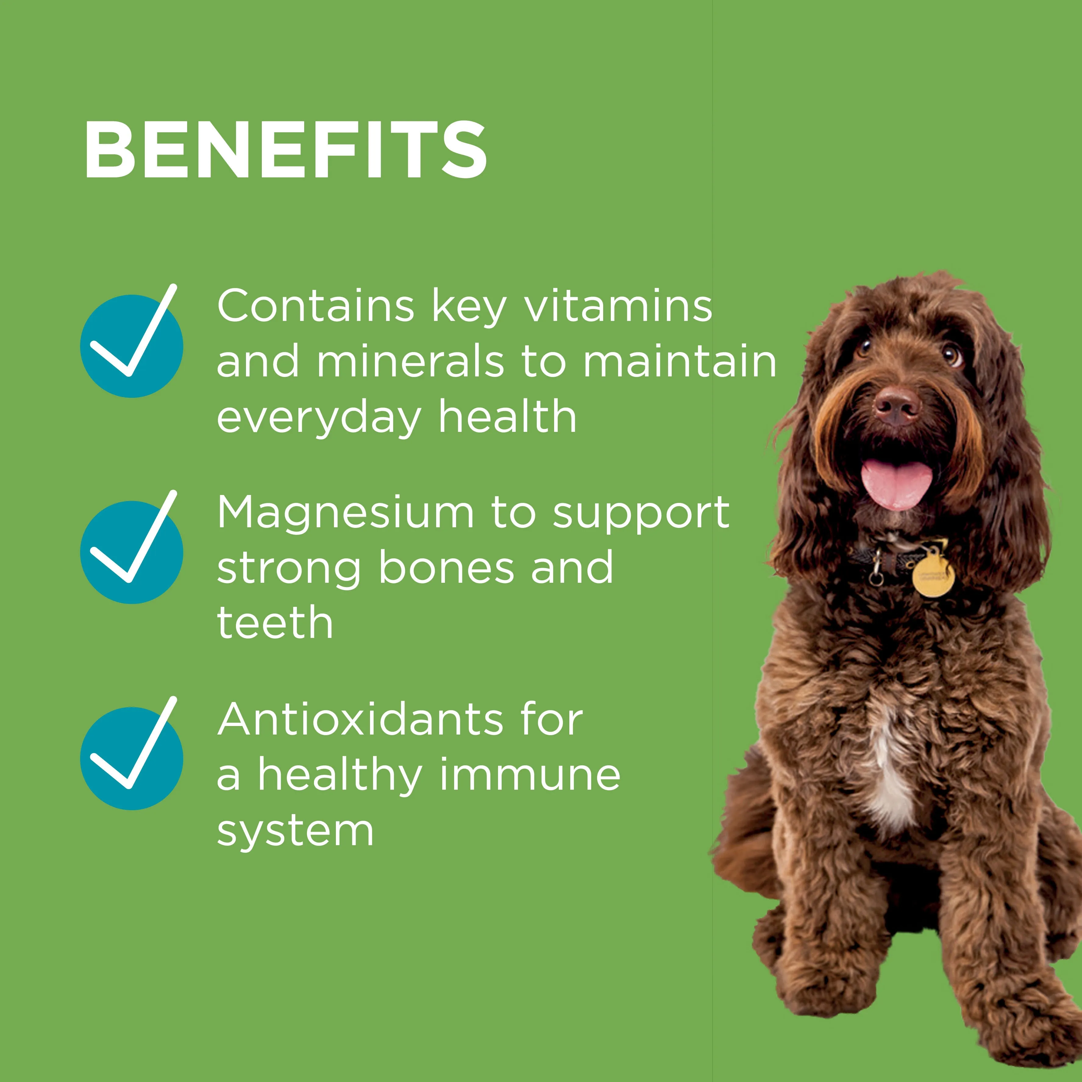 PAW Wellness & Vitality Multivitamin Chews 300g