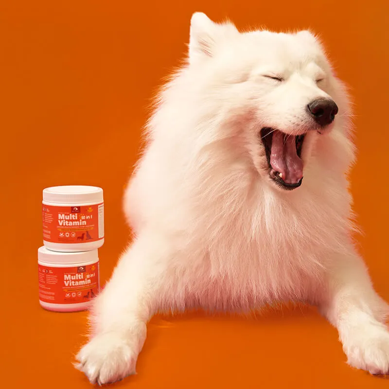 Petpal Multivitamin Dog Treat Supplement