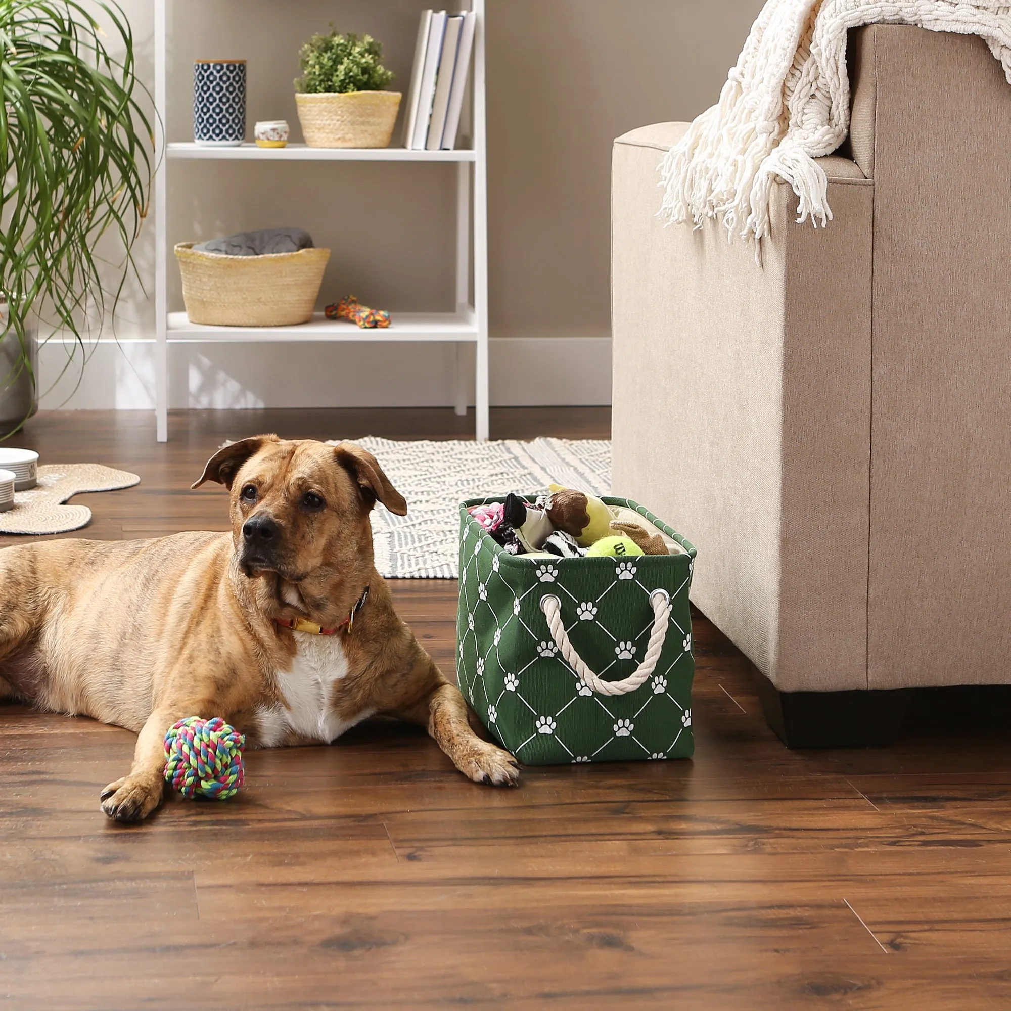 Polyester Pet Bin Trellis Paw Hunter Green Rectangle Small 14X8X9