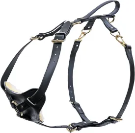 Ray Allen Mfg Signature K9 Biothane Multi-Function Harness, X-Large Black