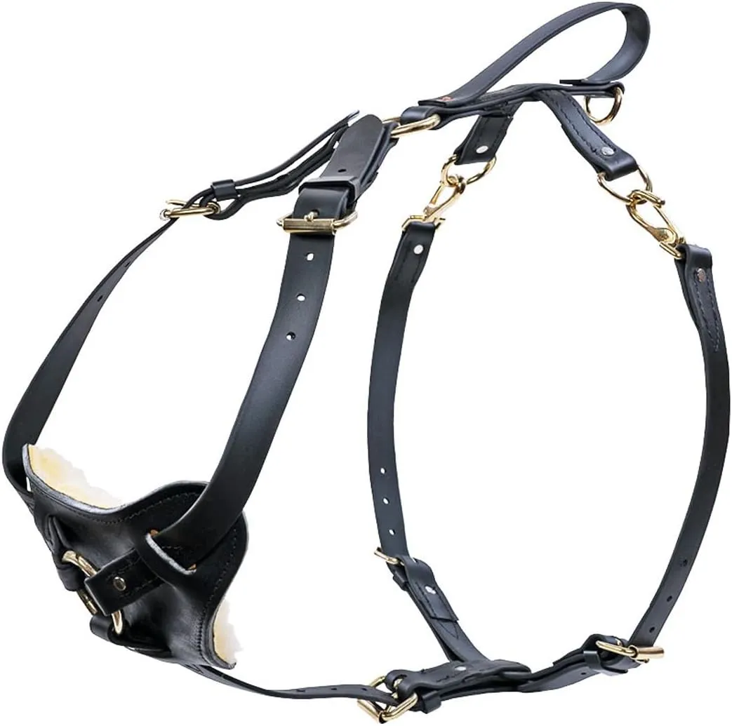 Ray Allen Mfg Signature K9 Biothane Multi-Function Harness, X-Large Black