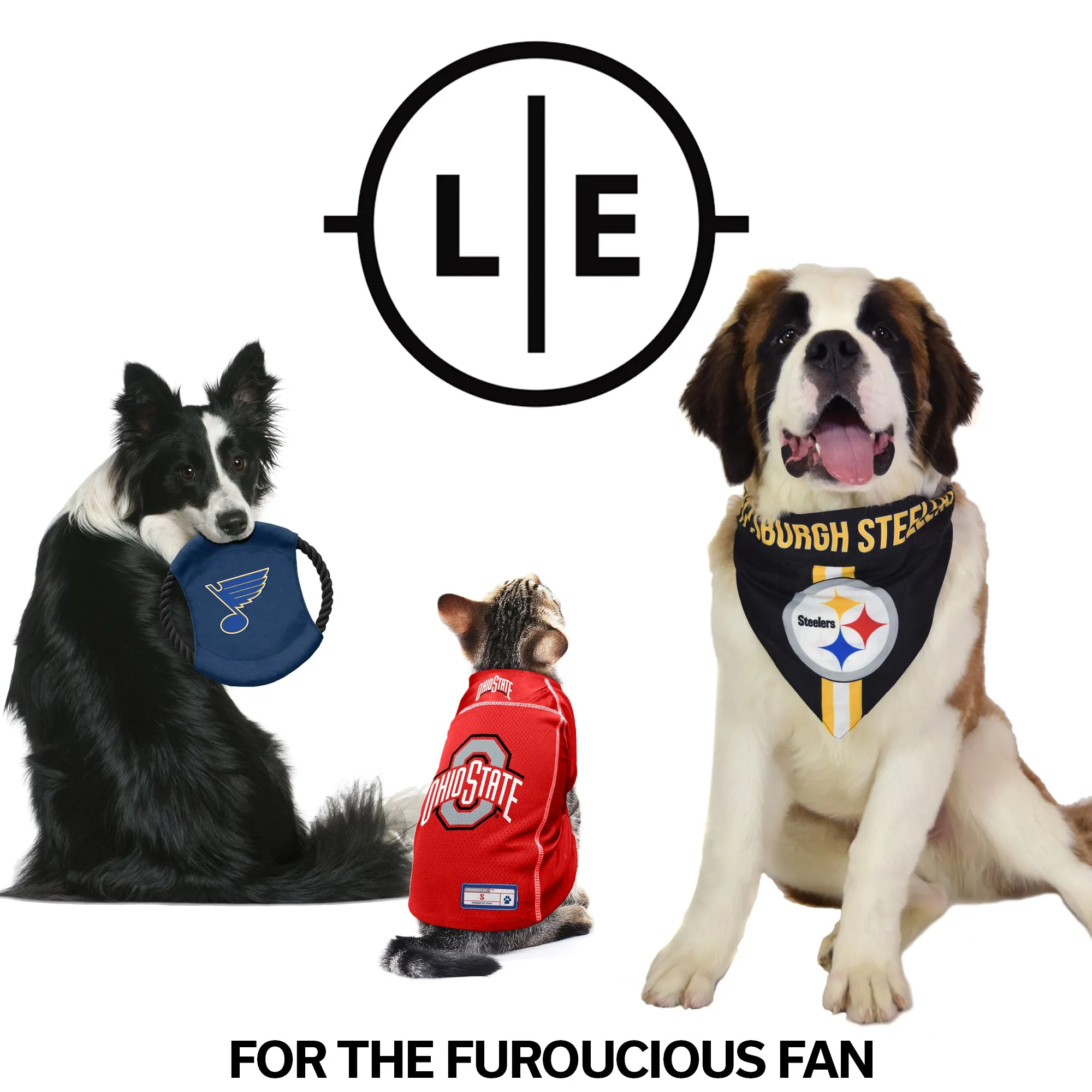 San Francisco 49ers Team Flying Disc Pet Toy